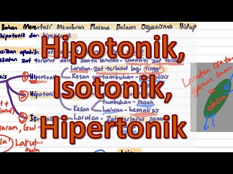 Video: Adakah Madu hipertonik atau hipotonik?