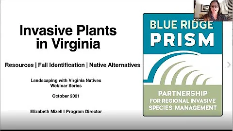 Common Invasive Plants in Virginia, Beth Mizell 10 26 21