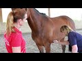 Measuring the horse´s back with Kieffer and Equiscan and saddle fitting