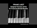 Miniature de la vidéo de la chanson 12 Studies, Op. 8: Patetico