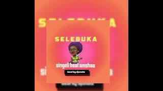 SELEBUKA_ Singeli Instrumental Amshaa!! beat by djonetz