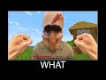 Minecraft wait what meme part 323 realistic minecraft villager