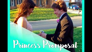 CUTEST PRINCESS PROMPOSAL