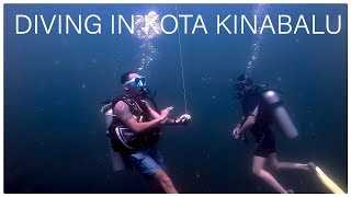 Diving In Kota Kinabalu Turtle Of Tunku Abdul Rahman Marine Park