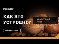 Крафтовый хлеб | Как это устроено | Discovery