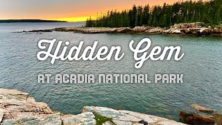 Completely Amazed by this Dog Friendly Hike at Acadia National Park