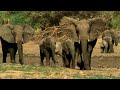 Why Wildlife Filmmaking Is So Important | Planet Earth III Behind The Scenes | BBC Earth