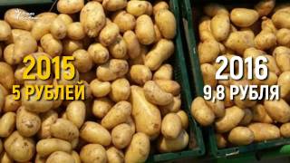 Цена салата Цена салата