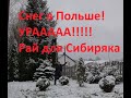 На работу в Польшу. Вместо черной пятницы - белое воскресенье