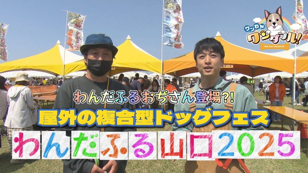 The 191st Outdoor Multi-purpose Dog Festival, Wonderful Yamaguchi