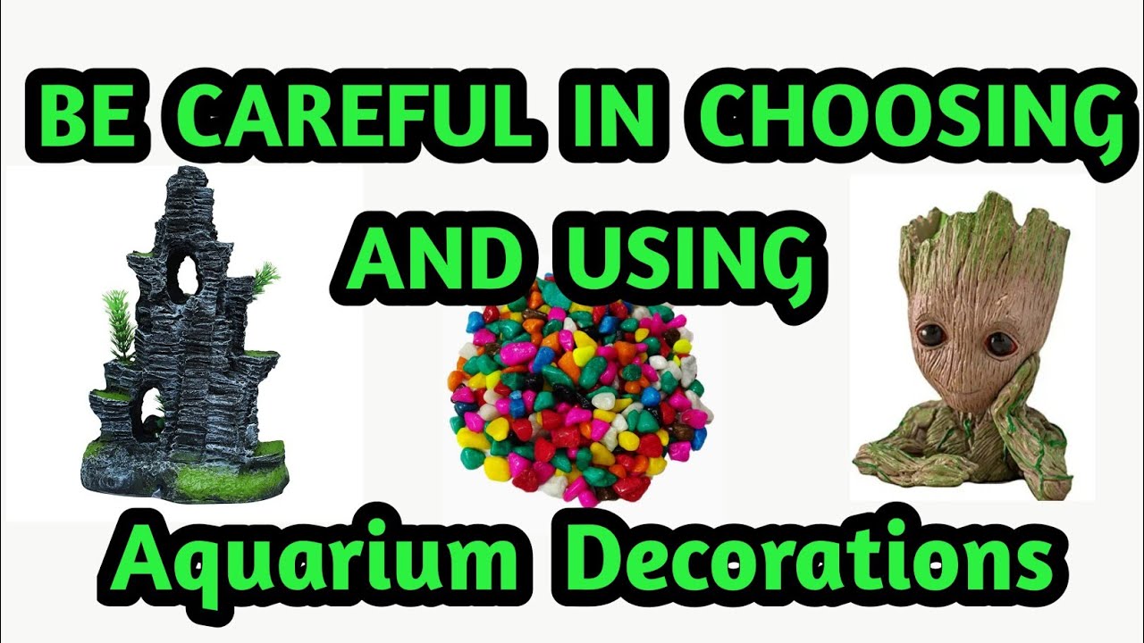 Aquarium DecorationsBe careful in Choosing and Using YouTube