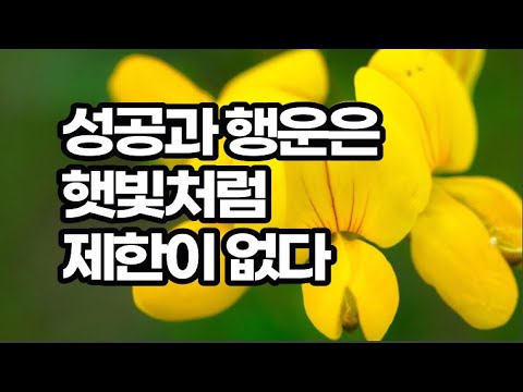 풍부하다는 느낌이 없으면 줄 수도 받을 수도 없다 / 아주 작은 친절의 힘 카인드 / <strong>책데이트</strong> 책 <strong>추천</strong>