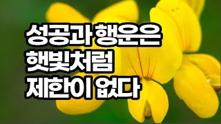 아주 작은 친절의 힘이 함께 사는 멋진 세상을 만든다 / 카인드 / 책데이트 책 추천