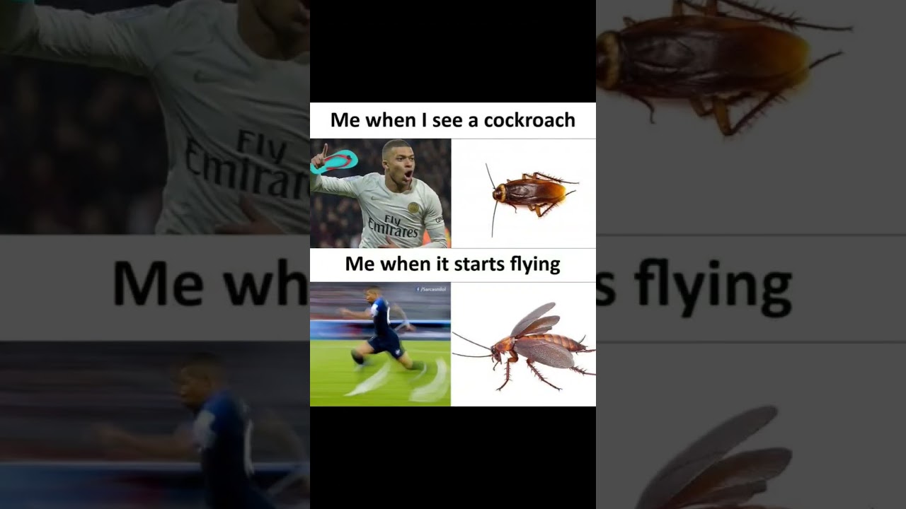 funny memes only legends will find funny part 2 