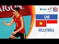 🔴 LIVE: Indonesia - Vietnam | Final Men’s Volleyball  - SEA Games 31