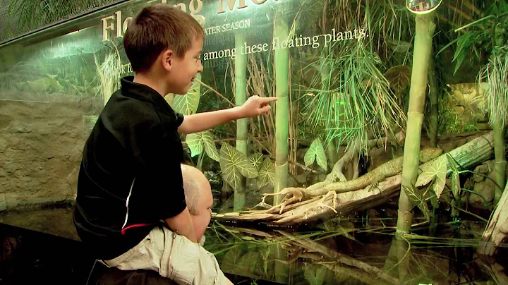 A Day at Shedd Aquarium