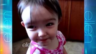 Cute Web Videos Sleeping Kitty2