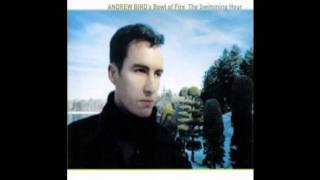 Andrew Bird's Bowl of Fire - Case In Point chords