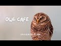 Owl Cafe in Nagoya, Japan