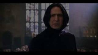 Harry Potter - Circle of Life