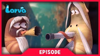 LARVA - AS TIME GOES BY | Cartoon Movie | Cartoons For Children | Larva Cartoon | LARVA Official