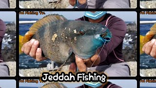 Harid Fish - سمك حريد Jeddah Fishing