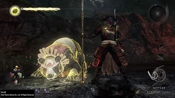 Nioh - All guardian spirits and Living weapon animations.