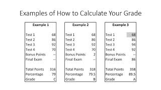 Welcome to Marketing 351