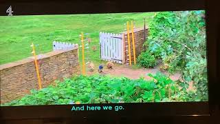 Channel 4 Tv Film Peter Rabbit