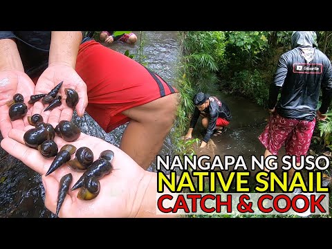 ep64---pangangapa-ng-suso-at-kuhol-:-ginataan-sa-pako-(hunt-&-cook)-san-pablo-city,-laguna