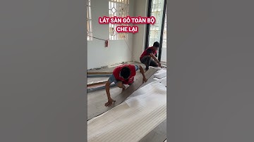 Lát sàn gỗ công nghiệp Robina có sợ mối gây hại không