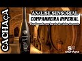 Análise sensorial cachaça Companheira Imperial
