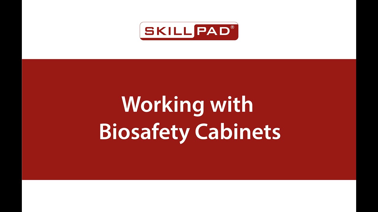 Aseptic Processing: Working with Biosafety Cabinets
