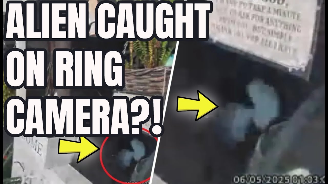 Ring Camera Alien Woman captures ALIEN on Ring camera? What is it really? Experts say not ...