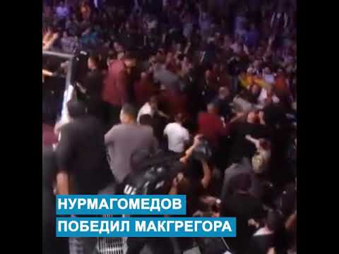 Бой Конора и Хабиба закончился потасовкой