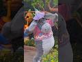 Have you ever seen Eeyore this HAPPY? FUNNY Disney Characters #disney #disneyparks
