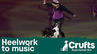 Heelwork to Music Competition Winner | Crufts 2026