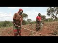Abaibori Bane Andrew Gitenyi And Mabundu Jazz Band Abaibori Bane Andrew Gitenyi And Mabundu Jazz Band