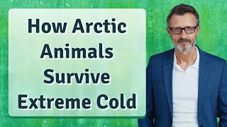 How Arctic Animals Survive Extreme Cold