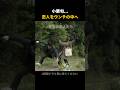 ちょっとへんな小栗旬wwww