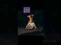 #mlbb #mlbbuzbek #mlbbnews #mobilelegends #mlbbcreatorcamp #mobilelegend