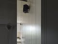 @BOSE FS2SE WALL MOUNT BLACK .#bosespeakers  #audiotechnique #audiosystem #dj  #viralshorts #video