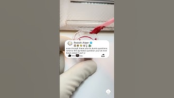 P2even though there areno dumb questions what is the dumbest question you