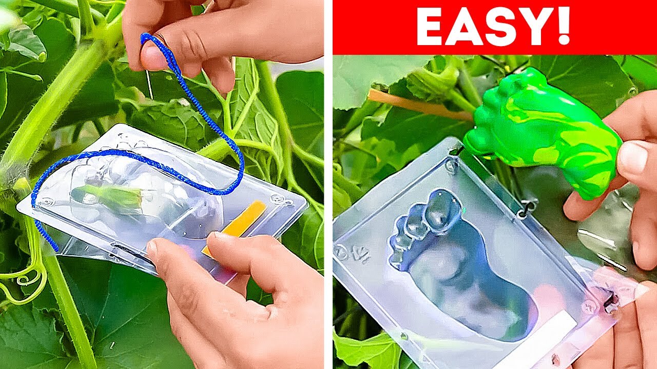 Smart ideas to make your Plant Happy! Garden hacks for beginners and ...