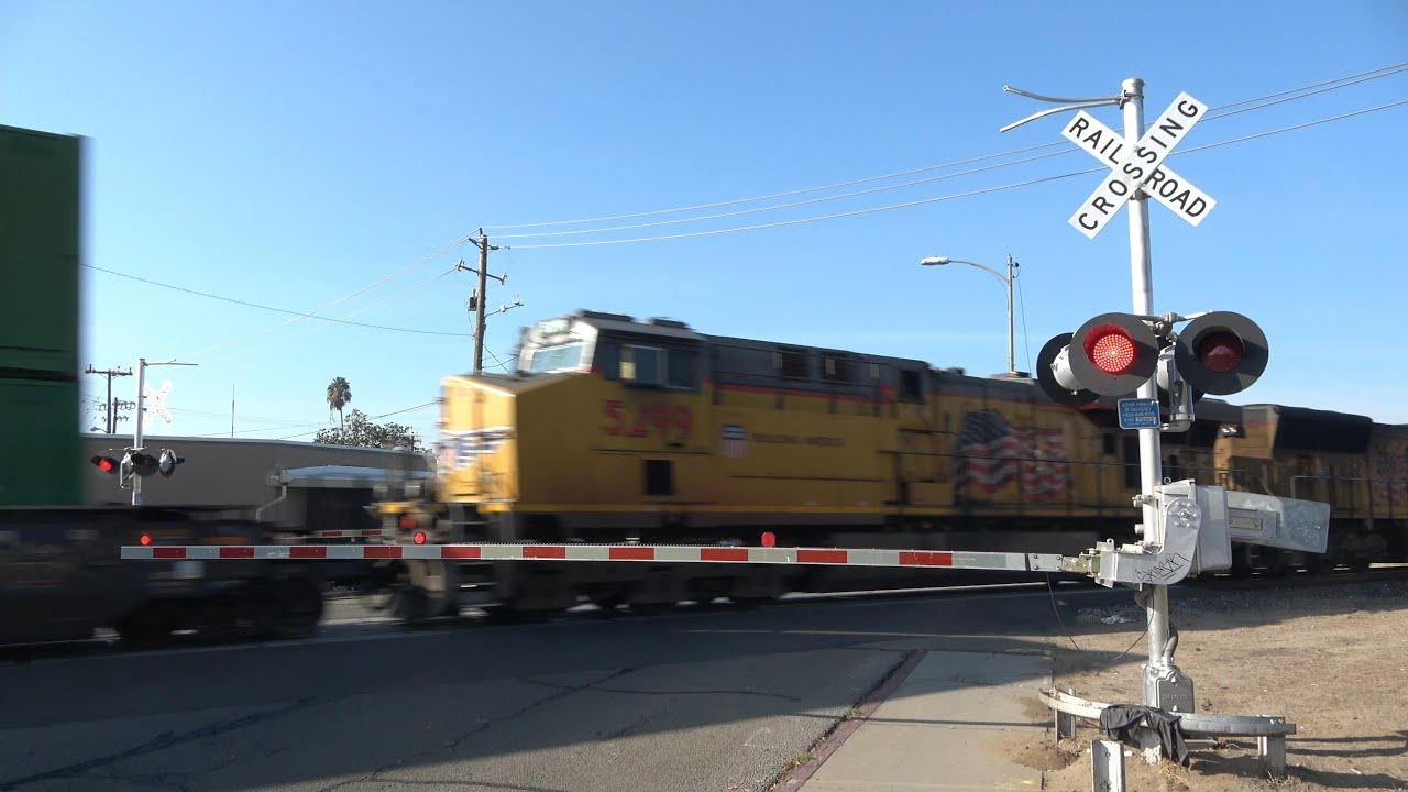 No pain no gain shut up and train. No pain no gain shut up and train футболка. Shut up and train. Train up перевод. Shut up and train.