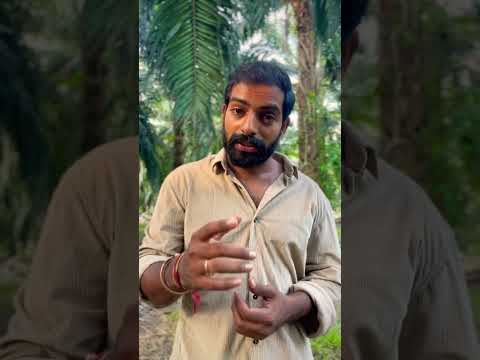 కౌజు పిట్టలు ఫార్మ్ పెట్టాలనుకుంటున్నారా.😇 #shanmukhafarms #quailfarming #acp369 #integratedfarming