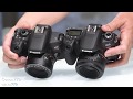 Canon SL2 vs T7i vs 77D (200D vs 800D vs 77D) Which 📷 is best?