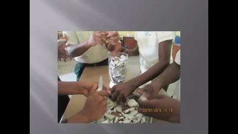 Coconut Presentation