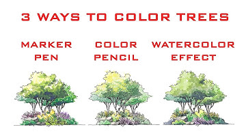 3 WAYS TO COLOR/RENDER TREES IN CONCEPTS APP - Timelapse - ipad Pro