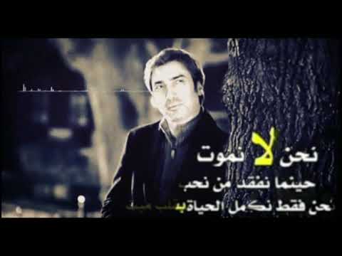 حالات واتس اب مراد علمدار نحن لا نموت حينما نفقد من نحب نحن فقط نكمل الحياة بقلب ميت